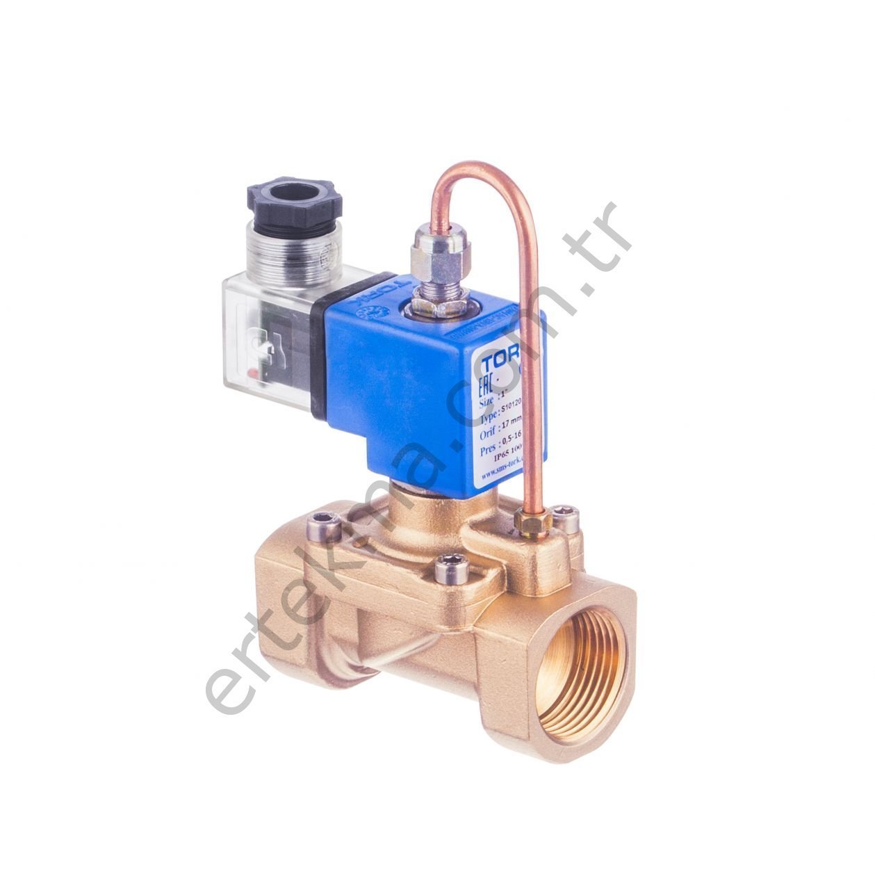 S2011 Serisi Pilot Kumandalı Buhar Solenoid Valfi