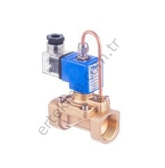 S2011 Serisi Pilot Kumandalı Buhar Solenoid Valfi