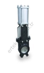 6500 Bıçaklı Sürgü Vana Pnömatik (Fiyat Sorunuz)